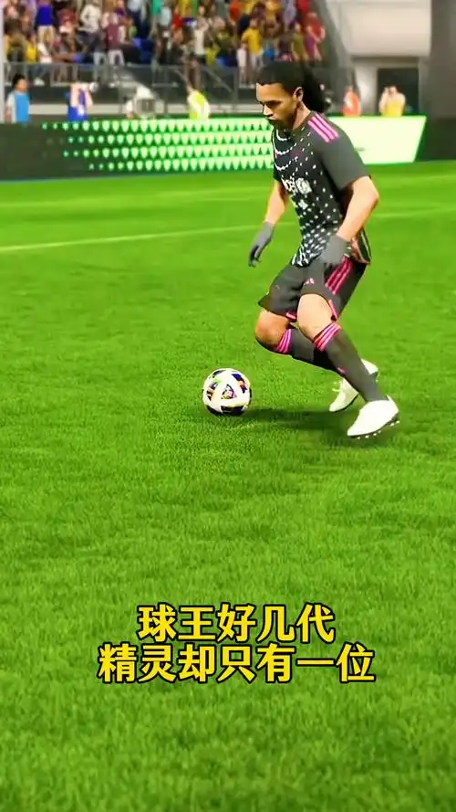 还共同为国